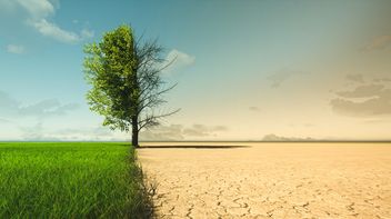 ECB stresses the legal implication of nature-related risks for financial institutions and their supervisors