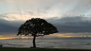 SEC Outlines Time-Limited Path Forward for Crypto User Interface Providers on Broker-Dealer Registration