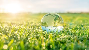 CARB - Enforcement Advisory