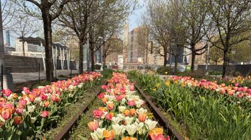 Chairman Selig Goes to Capitol Hill: Key Takeaways on Prediction Markets, Crypto and Enforcement