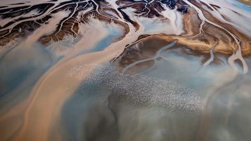 Shorter, smarter, or scrapped? Non‑competes at a crossroads