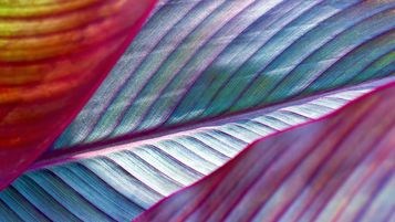 Private market valuation practices