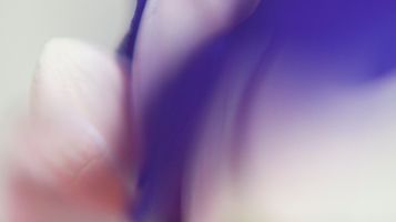 CAT dismisses CMA Decision based on material errors in its assessment of evidence