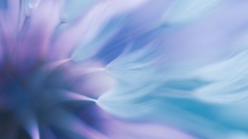 Balancing act: what the Data (Use and Access) Bill means for businesses