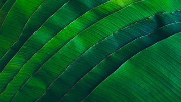 Best practice in private capital valuations