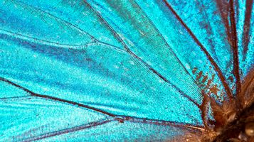 FCA finds that firms are falling short in their efforts to combat money laundering and the movement of illicit funds