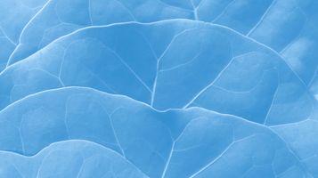 Apple Intelligence - Redefining AI?