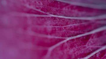 The macroeconomic backdrop to the private capital market - January 2024