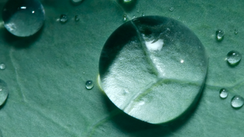 Need to know: costs in the tax tribunals