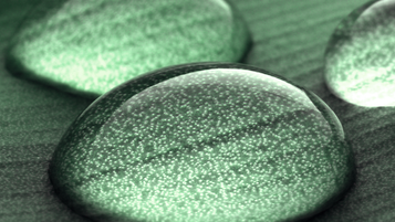 Can't PAYE? We'll take it away! HMRC's discretion to disapply PAYE