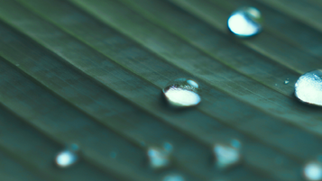 Need to know: amending self-assessment tax returns