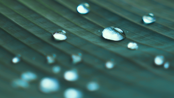 New failure to prevent offences coming soon – but will they prevent anything?