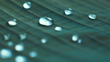 Need to know: appealing an HMRC decision