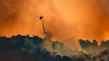 Pause, Pay, or Proceed: Statute of Limitations and Filing Suit After the LA Wildfires