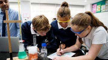 Sample post tagged to new taxonomy items