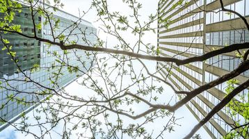 The New Criminal Framework for EU Economic Sanctions & Embargoes in Germany – Strategic Takeaways for Companies