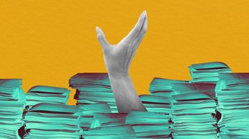 From Chaos to Control: What a Mature RIM Program Really Looks Like