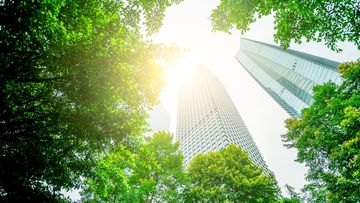 The elephant in the room: ESG considerations for UK pension scheme investments – latest developments