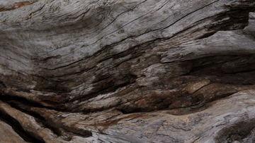 Texas Business Court Clarifies Narrow Pleading Standards for Veil-Piercing Under Texas law