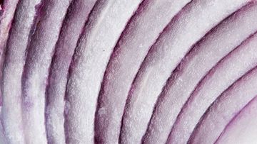 The Onion Problem: Four Ways Biopharma Patent Portfolios Lose Their Layers