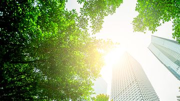 The International Sustainability Standards Board – global update