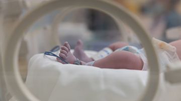 The State of Employment Law: NICU Leave Is an Emerging Trend