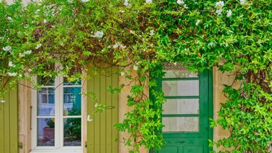 The pros and cons of a French Tontine clause