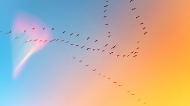 Probate delays continue to have a serious impact on charities