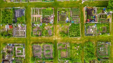 Possible good news for charities faced with unmeritorious legacy disputes