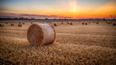 Budget 2025 – change to the APR/BPR allowance