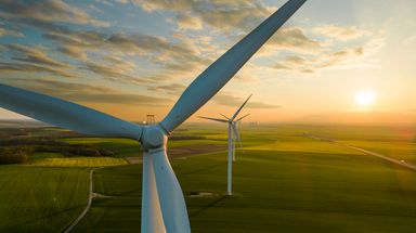 School sites - the environment and net zero