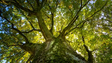 When systems fail children, we must change the system