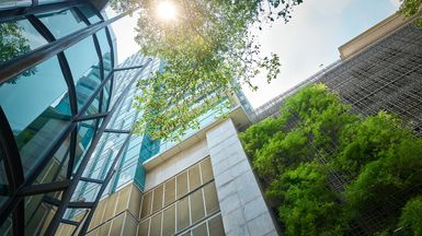 Green Leases and ESG: Key Considerations for Landlords and Tenants