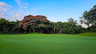 A scenic golf course with lush green fairway, vibrant trees, and a clear blue sky, creating a tranquil outdoor setting.