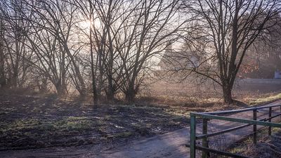 Climate Friendly Pledge from Major Landowners in England but what can Smaller Landowners Do?