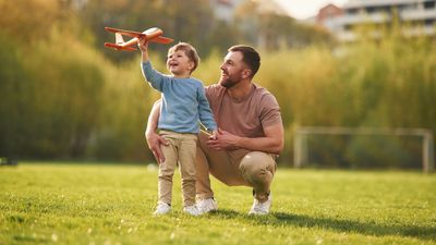 Declaration of Parentage v Parental Responsibility