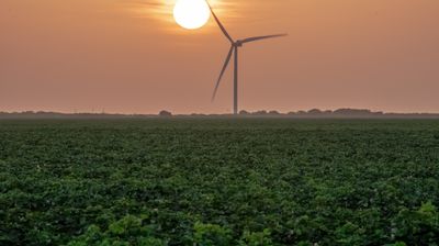 a wind turbine sits near a cotton field near Corpus Christi, Texas along the Gulf of Mexico on July 16, 2021.