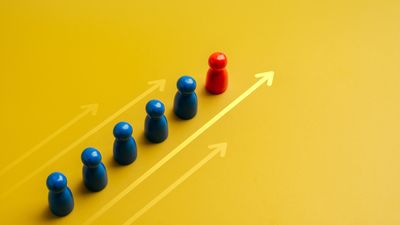 Navigating Complexity in the Office of the CFO: Insights from Interim Leadership in 4 Private Equity Cases