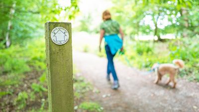 Public Rights of Way: What the Barton Court Footpath Decision Means for Landowners