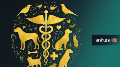 U.S. Veterinary Services – Industry Snapshot