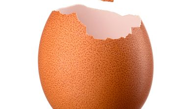 Passle image