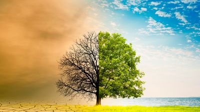 Climate Change in Conveyancing