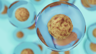 Cell and gene therapy: all aboard the rollercoaster ride...