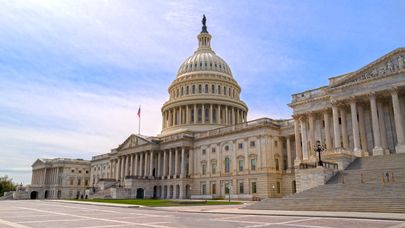 Brand Owners: Congress Moves to Open U.S. Customs and Border Protection’s Counterfeit Shipment Data