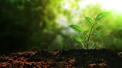 From Two Rooms to Two Continents: 150 Years of Growth and Impact
