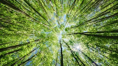 EPA Seeks Comments on New ASTM Standard for Phase I All Appropriate Inquiry