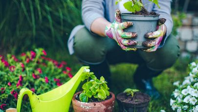 (Above the Law) Ken Van Winkle Explains Why Law Firm Leaders Should Volunteer In The Community Where Their Firm Is Based