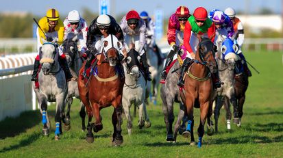 The White Collar Appeal:  Horse-Doping Case Provides Insight on Forfeiture and FDCA Issues