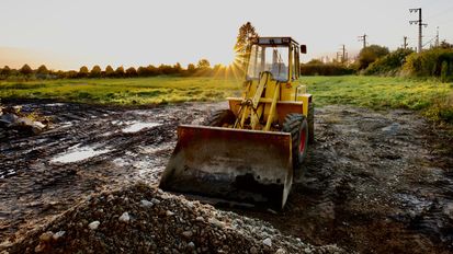 Official Immunity Denied for Contractor in Tree Removal Trespass Claim