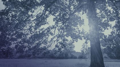 Pre and post nuptial agreements